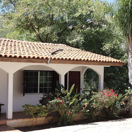 Casa Luna Vinedo บาเย เด กัวลาลูเป ภายนอก รูปภาพ